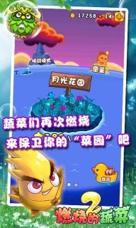 燃烧的蔬菜2新年版截图2