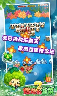 燃烧的蔬菜2新年版截图3