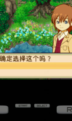 牧场物语双子村截图1