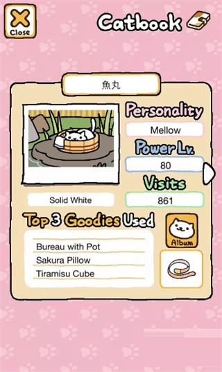 猫咪后院2