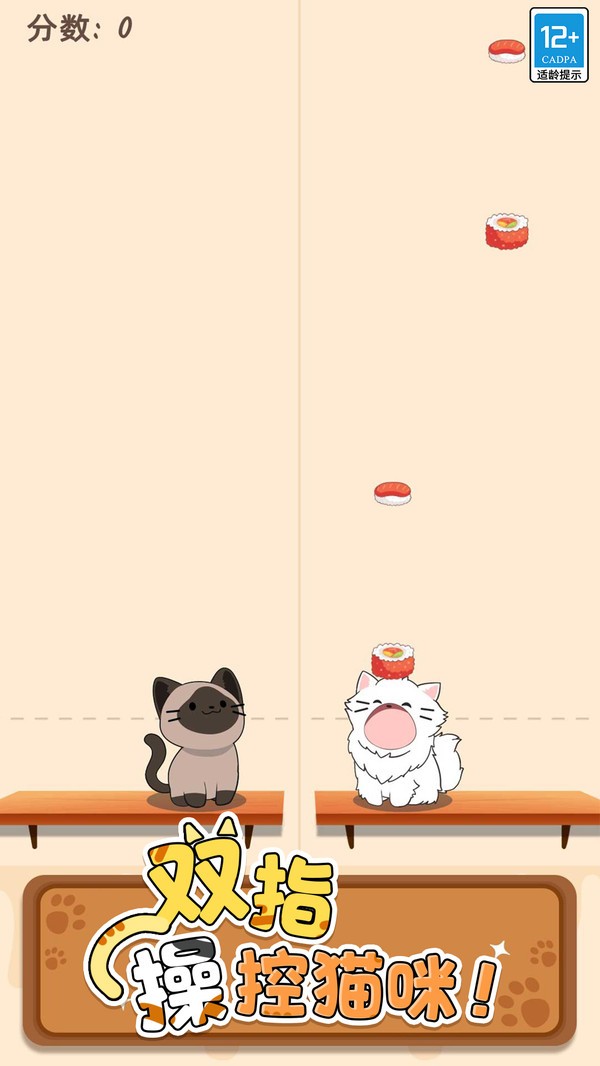 两只猫的二重奏截图1