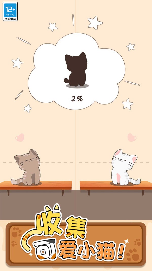 两只猫的二重奏截图4