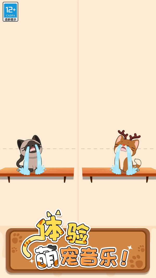 两只猫的二重奏截图5