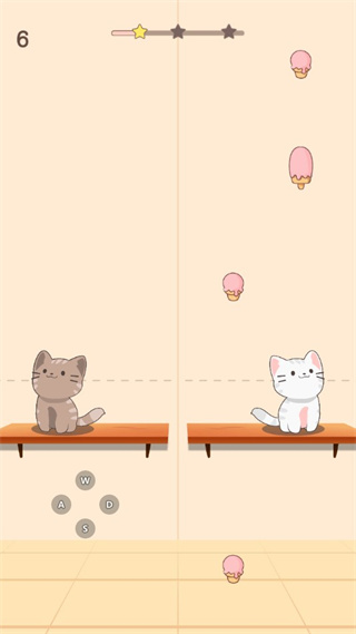两只猫的二重奏
