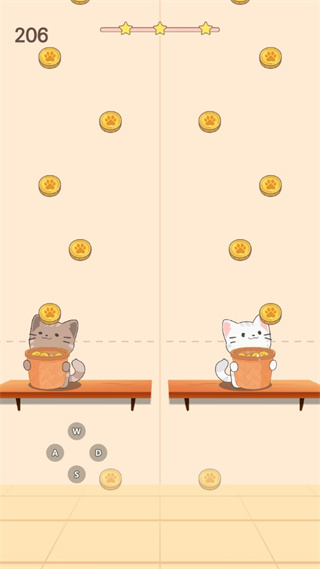 两只猫的二重奏