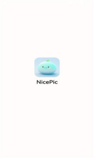 NICEPIC