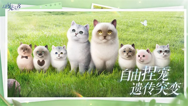 以闪亮之名新马服截图3
