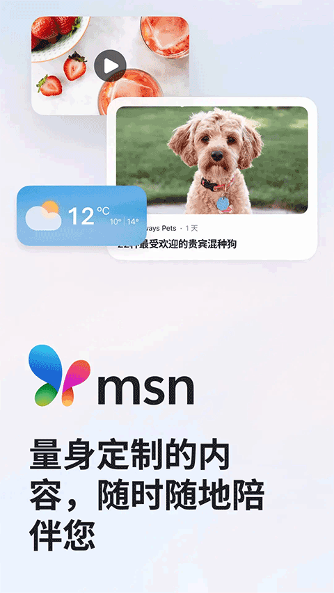 MSN手机版截图4