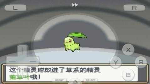 口袋妖怪金心银魂截图2