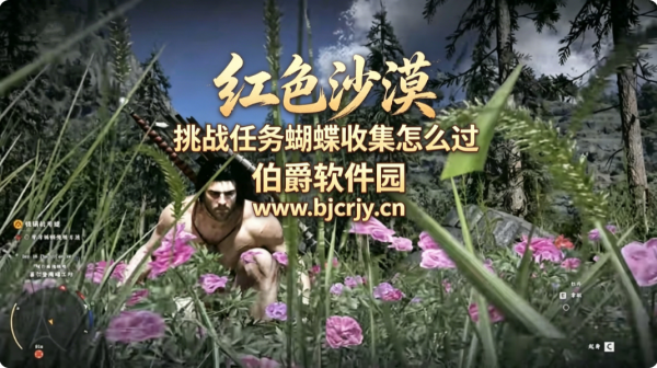 红色沙漠挑战任务蝴蝶收集怎么过