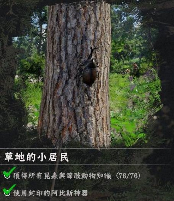 红色沙漠挑战任务蝴蝶收集怎么过