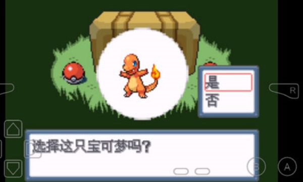 口袋妖怪白2