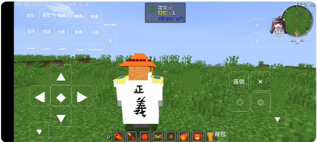 我的世界大航海时代