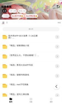 倾城软件库老版本截图2