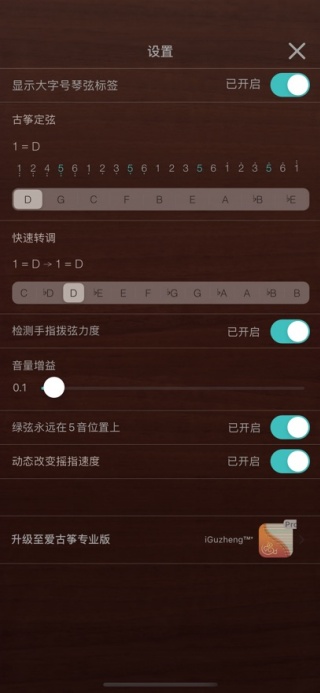 iGuzheng