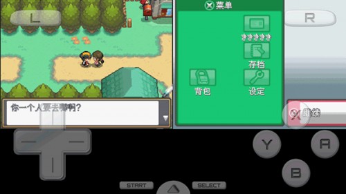口袋妖怪绝对魂银THEEND