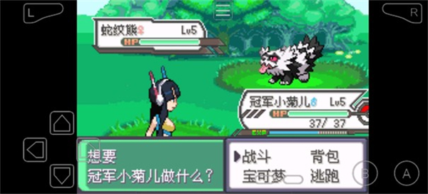 口袋妖怪女神贝塔