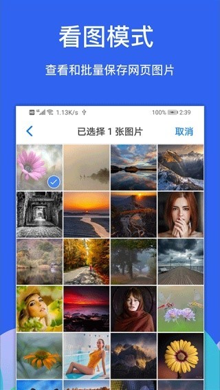 Alook浏览器旧版本截图3