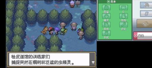 口袋妖怪金心存档版