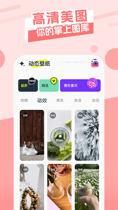 主题库老版本截图4