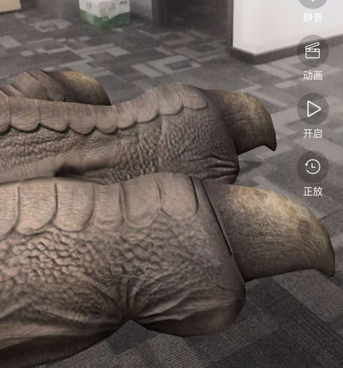 神奇ar
