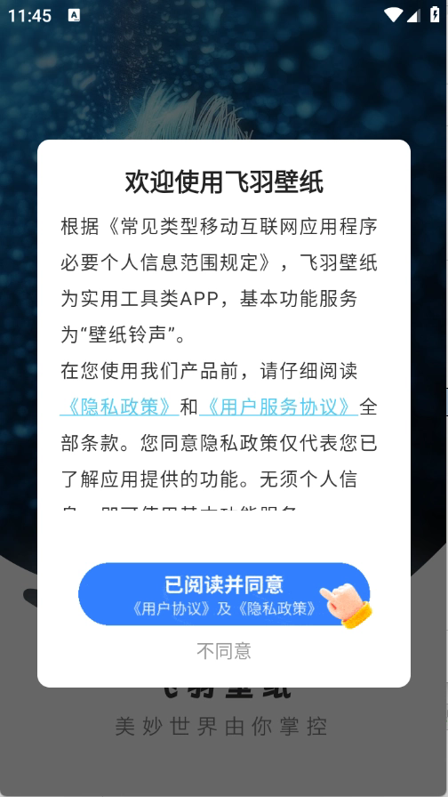飞羽壁纸