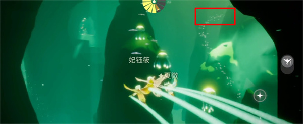 光遇雨林小金人全部位置 光之翼分别在哪详细分布图