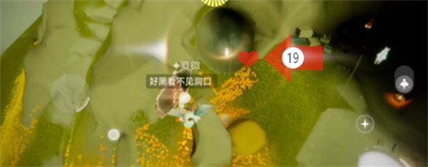 光遇雨林小金人全部位置 光之翼分别在哪详细分布图