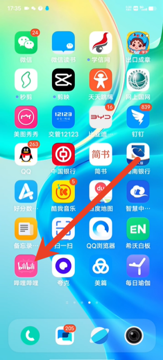 哔哩哔哩手机版怎么一键清离线缓存 缓存视频清理教程