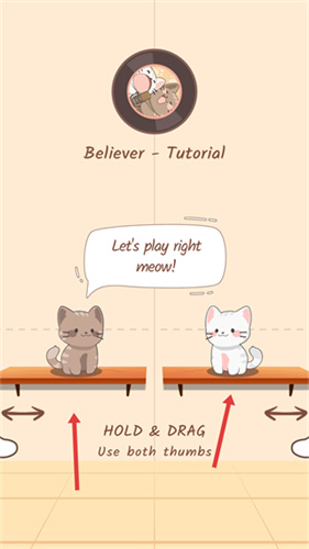 两只猫的二重奏