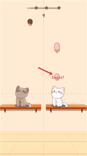 两只猫的二重奏
