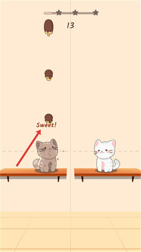 两只猫的二重奏
