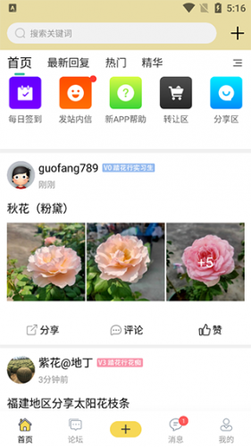 踏花行