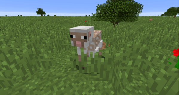 minecraft国际版手机版