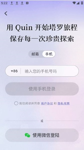 quin塔罗牌