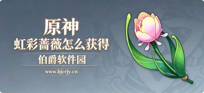 原神虹彩蔷薇怎么获得 采集位置路线路及购买商人介绍