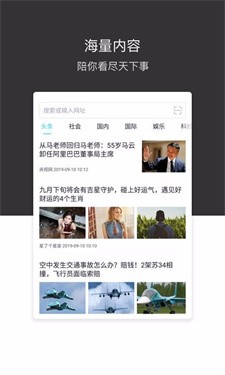 绿叶浏览器老版本截图2