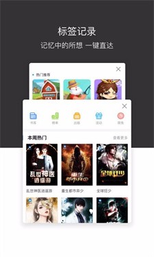 绿叶浏览器老版本截图3