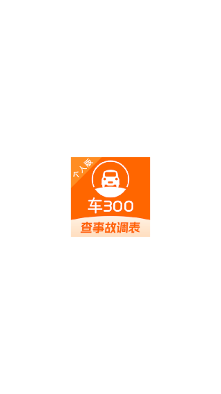 车300二手车