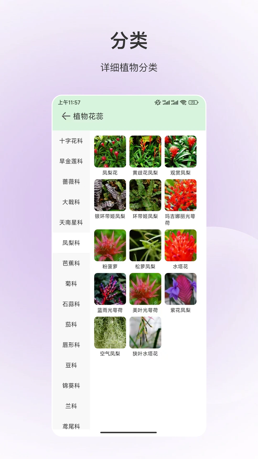 百科全书截图3