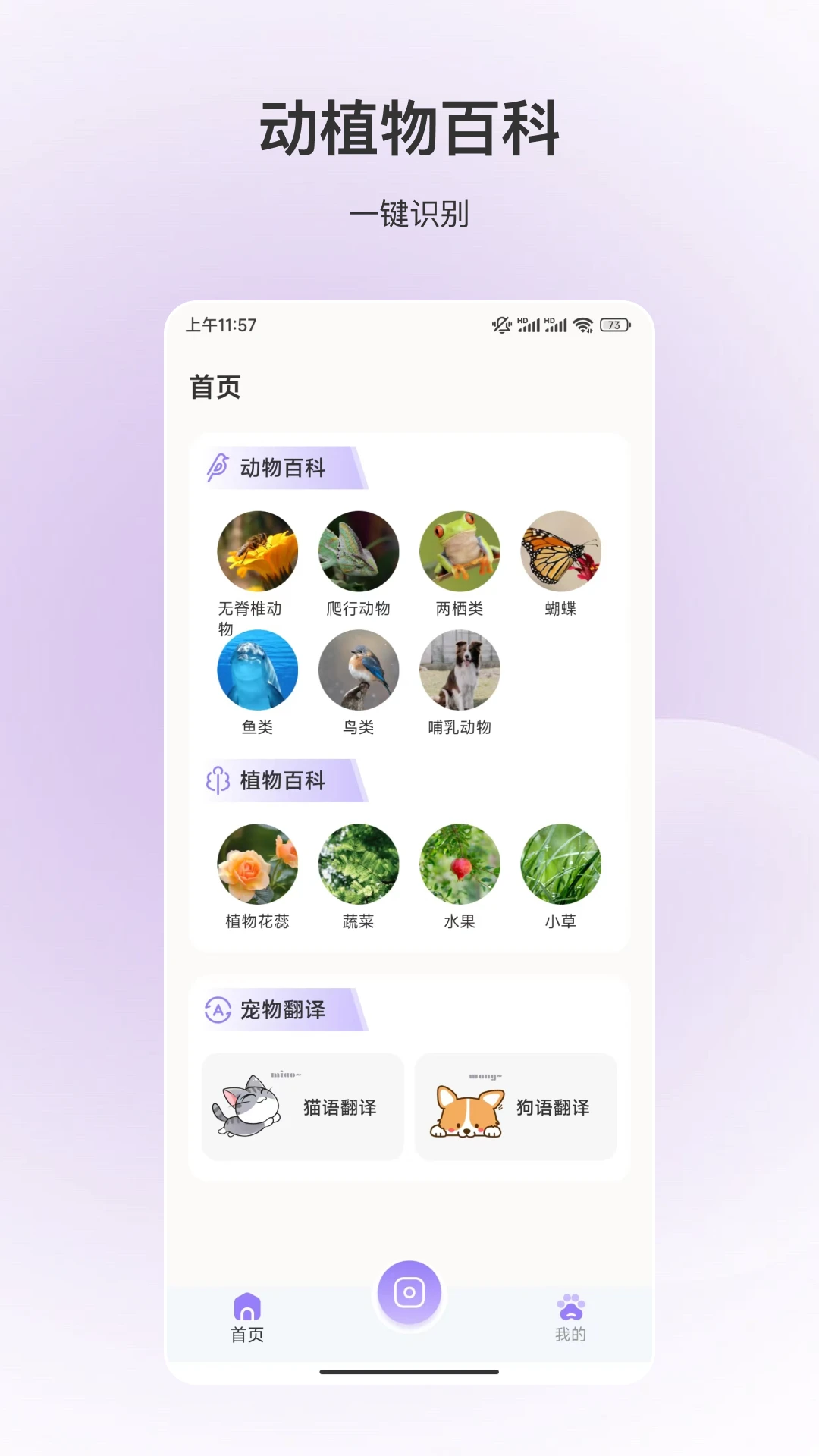 百科全书截图4