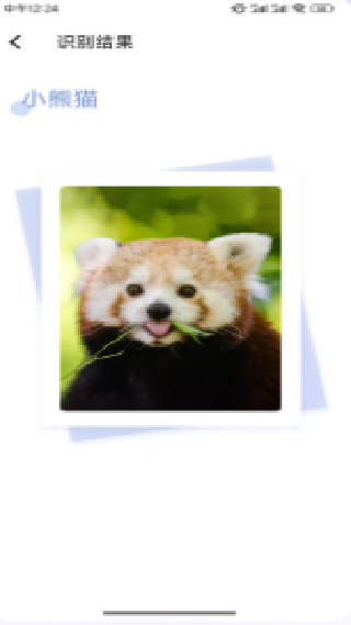 百科全书
