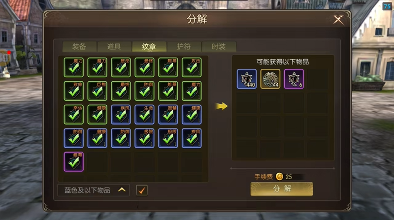 龙之谷启程纹章系统适配职业攻略