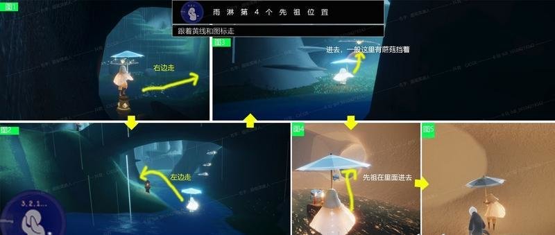 光遇雨林先祖全部位置在哪 找齐解锁奖励一览