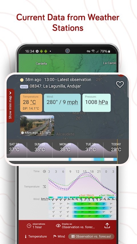 Windy气象中文版截图1