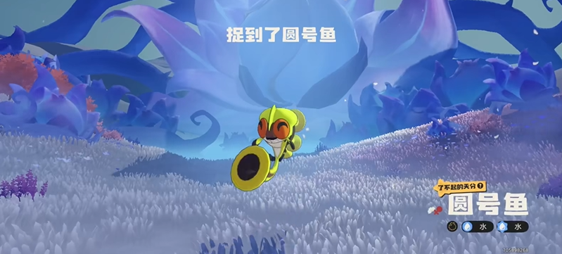 洛克王国世界命定花种圆号鱼速刷打法攻略