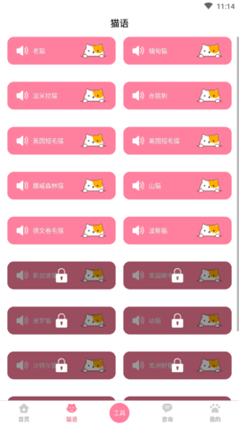 人猫翻译器免广告版