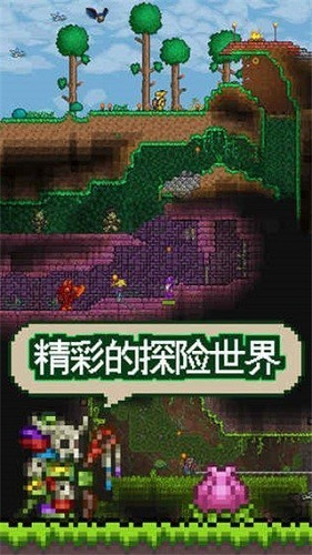 泰拉瑞亚1.4.3.2汉化版截图4