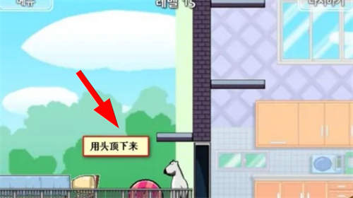 倒霉熊逃离房间