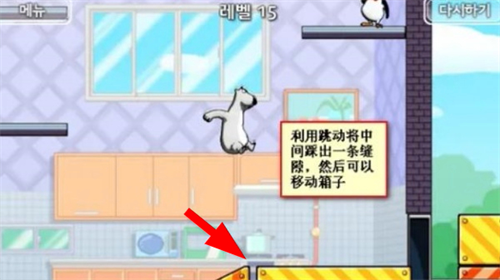 倒霉熊逃离房间